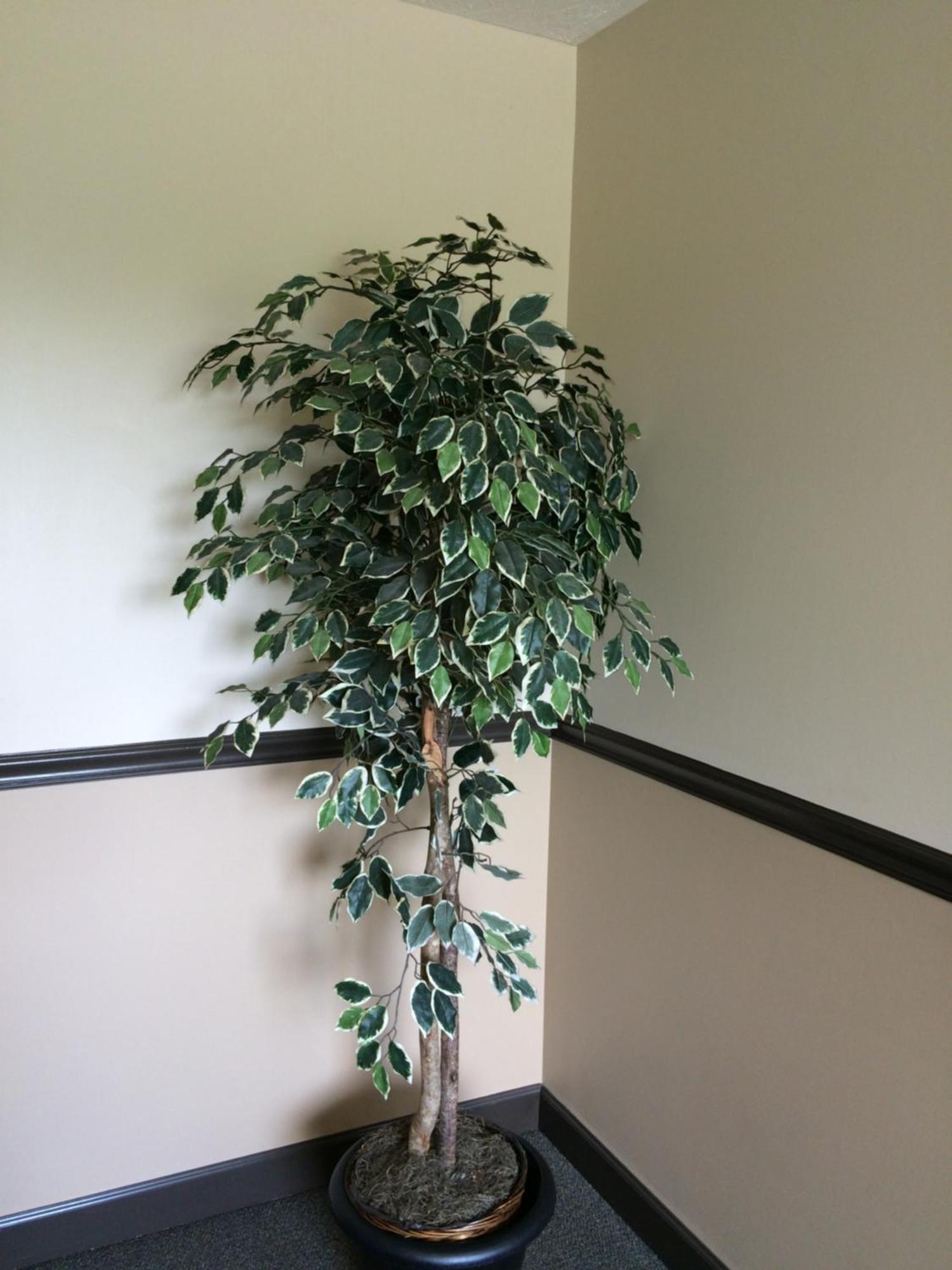 Fairway Inn Florence Indiana Ngoại thất bức ảnh